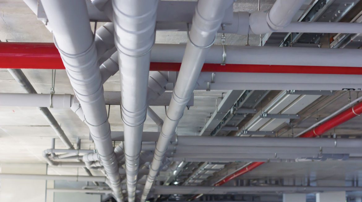 5-Panda-xx 5-Panda-xx